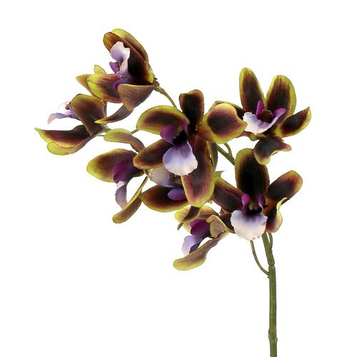 Floristik24 Orquídea Cymbidium Verde, Morado L38cm 4pcs