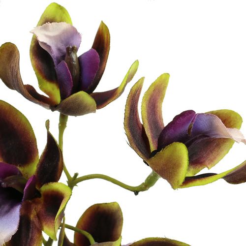 Artículo Orquídea Cymbidium Verde, Morado L38cm 4pcs