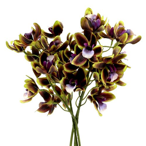 Floristik24 Orquídea Cymbidium Verde, Morado L38cm 4pcs