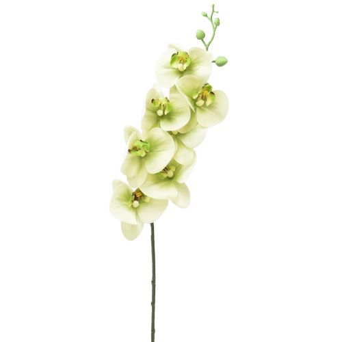 Orquídea Artificial Phalaenopsis Verde Amarillo L83cm