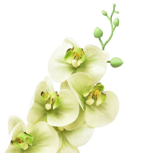 Artículo Orquídea Artificial Phalaenopsis Verde Amarillo L83cm