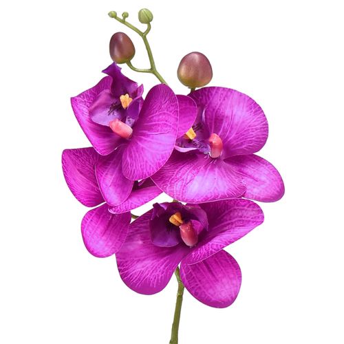 Orquídea Artificial Phalaenopsis 4 flores Fucsia 72cm