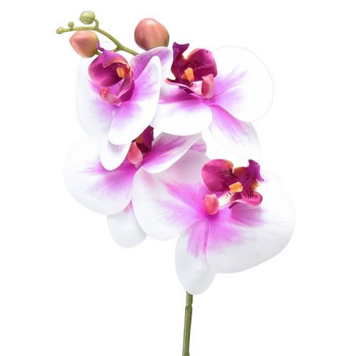 Orquídea Artificial Phalaenopsis 4 Flores Blanco Rosa 72cm