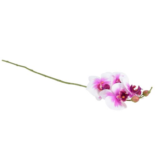 Artículo Orquídea Artificial Phalaenopsis 4 Flores Blanco Rosa 72cm