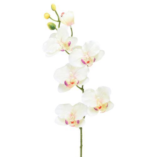 Orquídea Phalaenopsis artificial 6 flores crema rosa 70cm