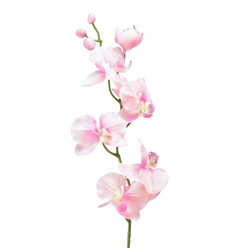 Floristik24 Orquídea Phalaenopsis artificial 6 flores rosa 70cm