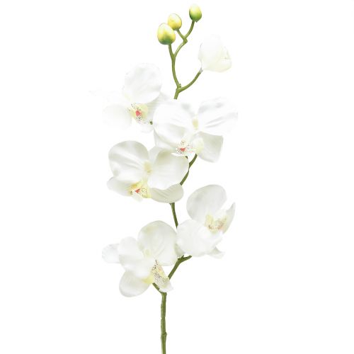 Floristik24 Orquídea Phalaenopsis artificial 6 flores blanco crema 70cm
