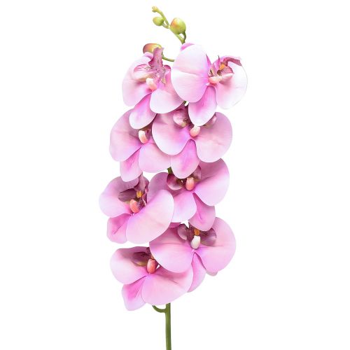 Orquídea Phalaenopsis artificial 8 flores rosa 104cm