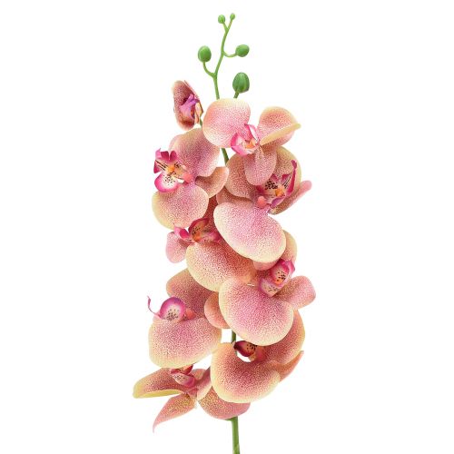 Floristik24 Orquídea Phalaenopsis artificial 9 flores rosa vainilla 96cm