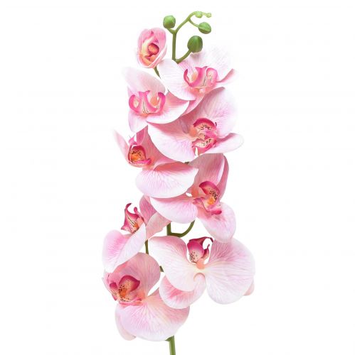 Orquídea Phalaenopsis artificial 9 flores rosa blanco 96cm