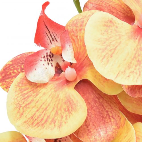 Artículo Orquídea Phalaenopsis artificial 9 flores rojo amarillo 96cm