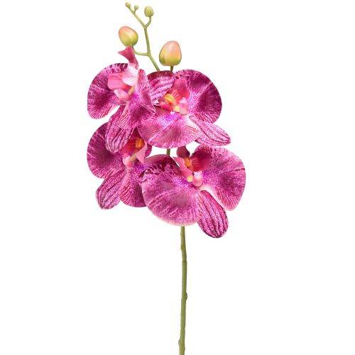 Floristik24 Orquídea flameada artificial Phalaenopsis violeta 72cm