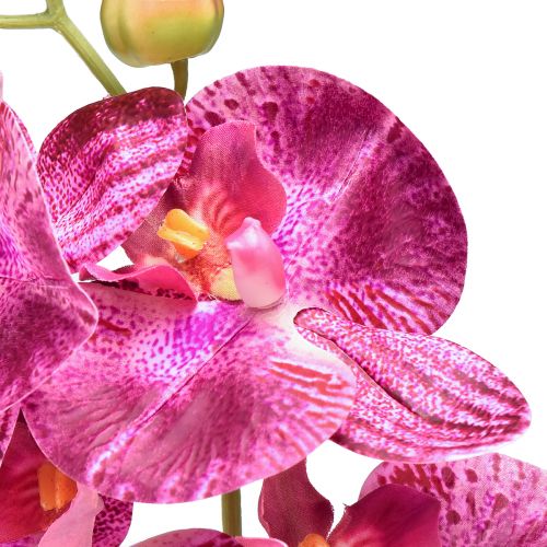 Artículo Orquídea flameada artificial Phalaenopsis violeta 72cm