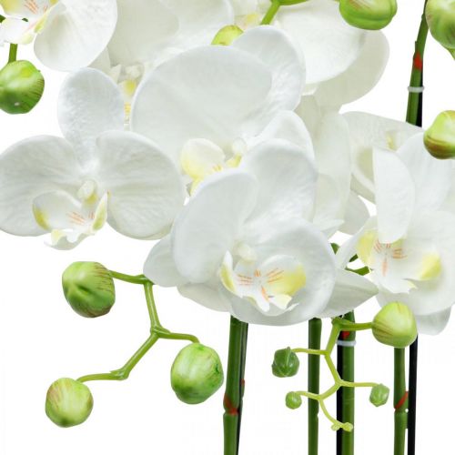 Floristik24 Orquideas artificiales en maceta planta artificial blanca 63cm