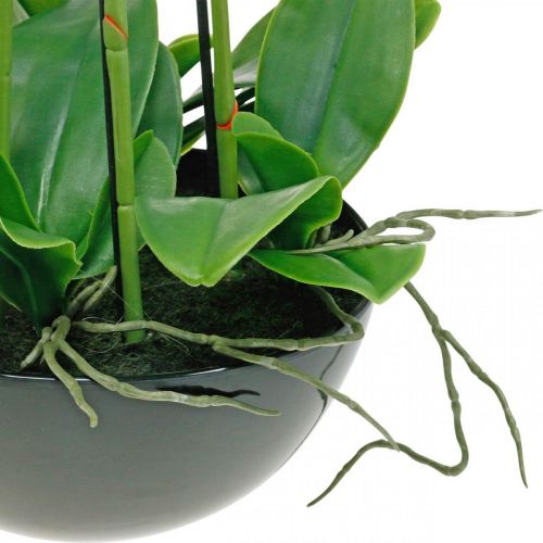 Floristik24 Orquideas artificiales en maceta planta artificial blanca 63cm