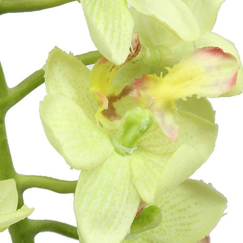 Artículo Orquídea 56cm verde claro