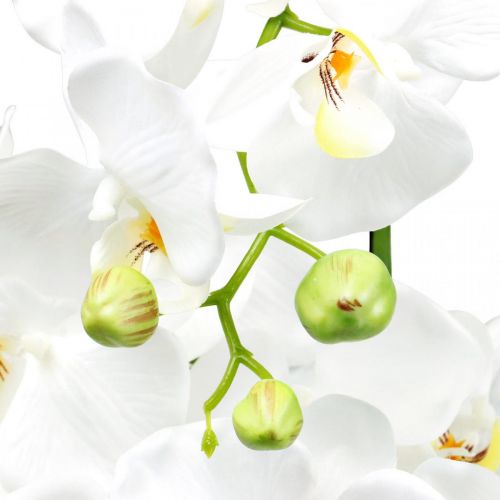 Artículo Orquídeas artificiales para maceta blanca 80cm
