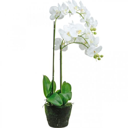 Artículo Orquídeas artificiales para maceta blanca 80cm