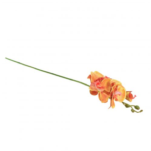Artículo Orquídea artificial Phalaenopsis flameada rojo amarillo 78cm