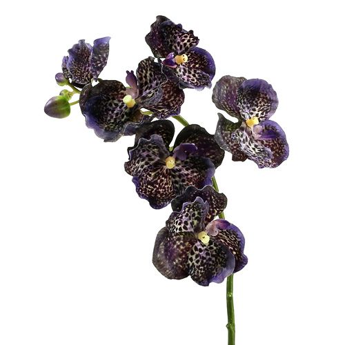 Floristik24 Orquídea Vanda violeta artificial L 44cm