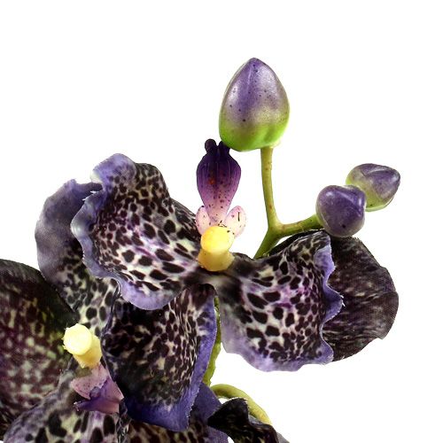 Artículo Orquídea Vanda violeta artificial L 44cm