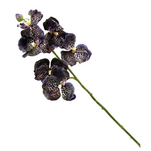 Floristik24 Orquídea Vanda violeta artificial L 44cm