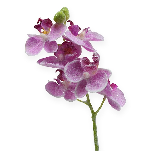 Orquídea con purpurina, rosa 35cm