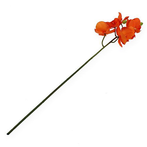 Floristik24 Rama de orquídea naranja 61cm