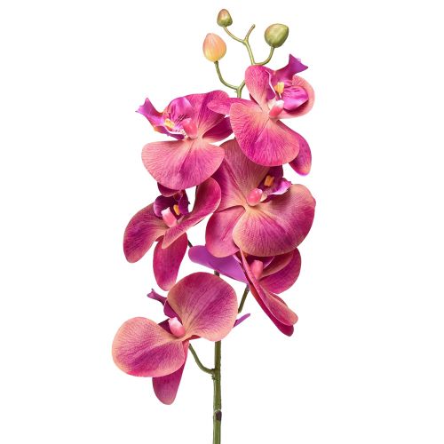 Artículo Orquídea artificial Phalaenopsis Orquídea Fucsia 78cm