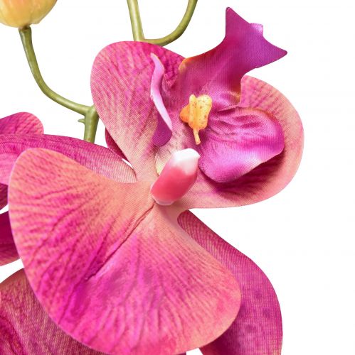 Artículo Orquídea artificial Phalaenopsis Orquídea Fucsia 78cm