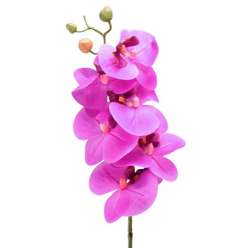Artículo Orquídea artificial Phalaenopsis Orquídea Rosa 78cm
