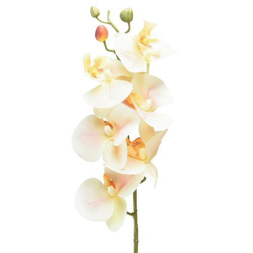 Orquídea Artificial Crema Naranja Phalaenopsis 78cm