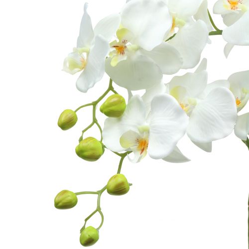 Floristik24 Blanco Orquídea en bombilla 65cm