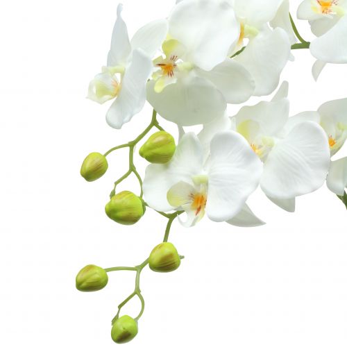 Floristik24 Orquídea blanca en bola de 118cm