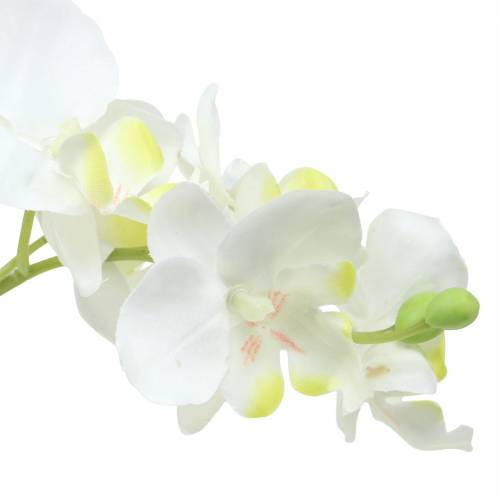 Artículo Orquídeas blancas en maceta planta artificial Al35cm