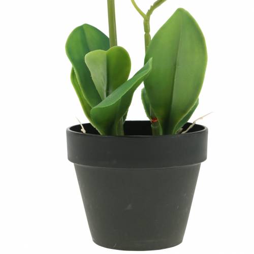 Floristik24 Orquídeas blancas en maceta planta artificial Al35cm