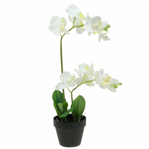 Floristik24 Orquídeas blancas en maceta planta artificial Al35cm