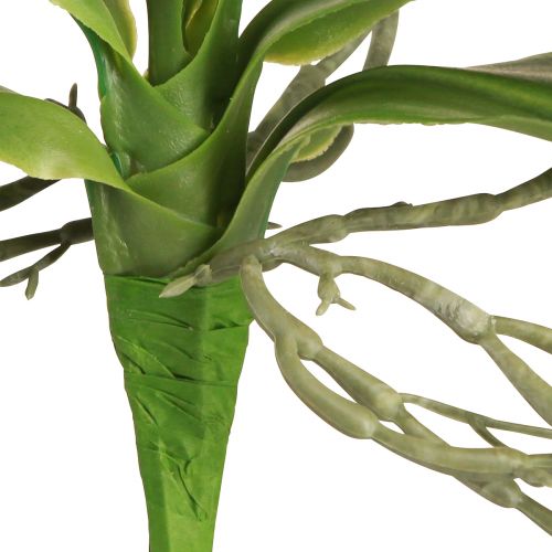 Artículo Hojas de orquídea con raíces aéreas artificiales 34x8x18cm