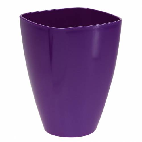 Maceta para orquídeas, brillante, Ø12,5 cm, violeta comprar | Floristik24.es