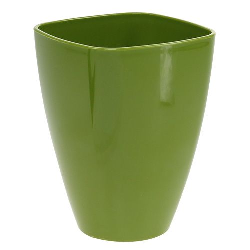 Artículo Macetero orquídea brillante Ø12,5cm verde oliva 1ud