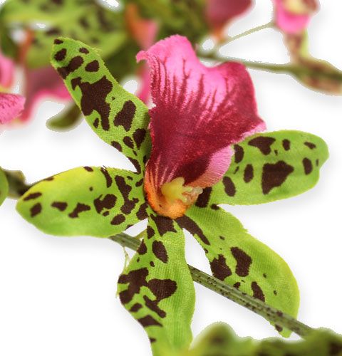 Artículo Rama de orquídea verde / rosa 105cm