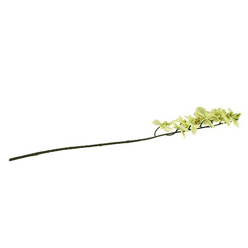 Artículo Rama de orquídea verde claro L58cm