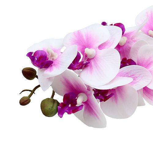 Floristik24 Rama de orquídea blanco-rosa L58cm