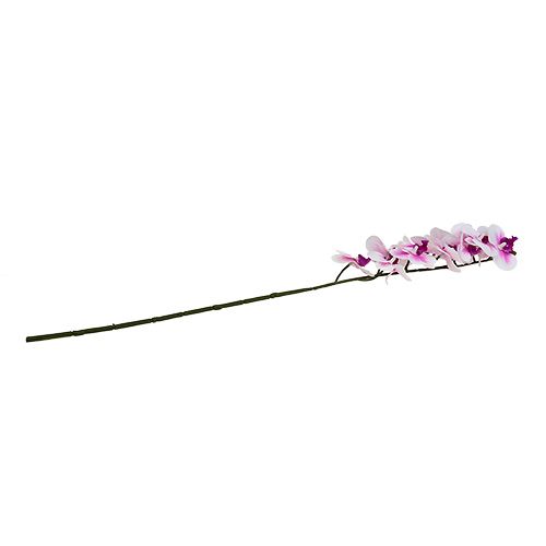 Floristik24 Rama de orquídea blanco-rosa L58cm