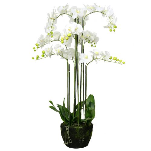 Artículo Orquídea blanca en bola de 118cm