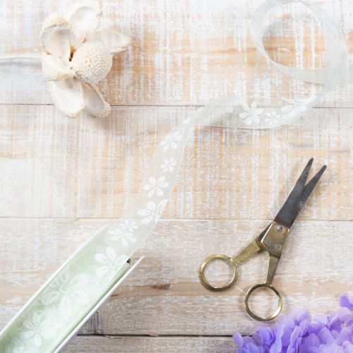 Artículo Cinta de organza, floral, para regalo, verde, 25 mm, 18 m