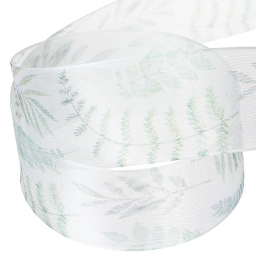 Artículo Cinta de organza, cinta de gasa, ramas frondosas, verde, 40 mm, 15 m
