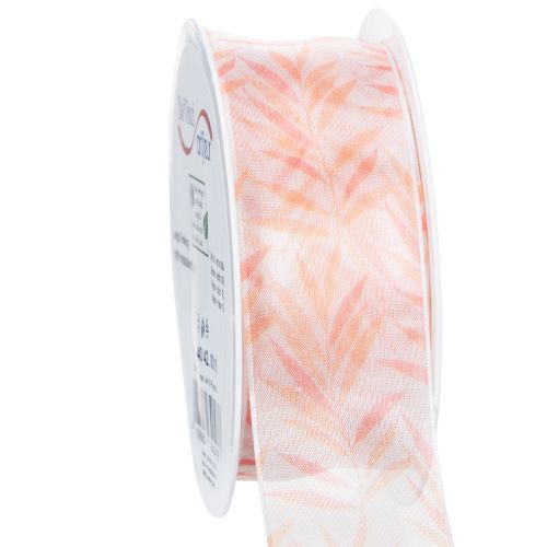 Floristik24 Cinta de organza, cinta de gasa, naranja selva, 40 mm, 15 m