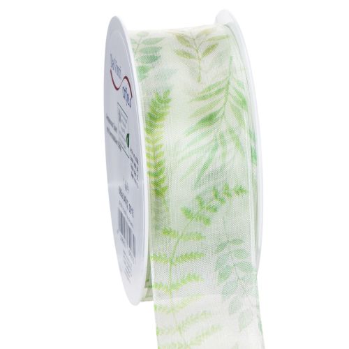 Floristik24 Cinta de organza, cinta de gasa, verde con zarcillos de hojas, 40 mm de ancho, 15 m de largo