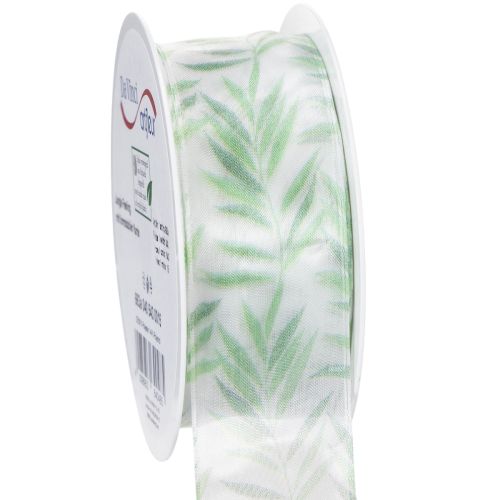 Floristik24 Cinta de organza, cinta de gasa, cinta verde para plantas, 40 mm x 15 m